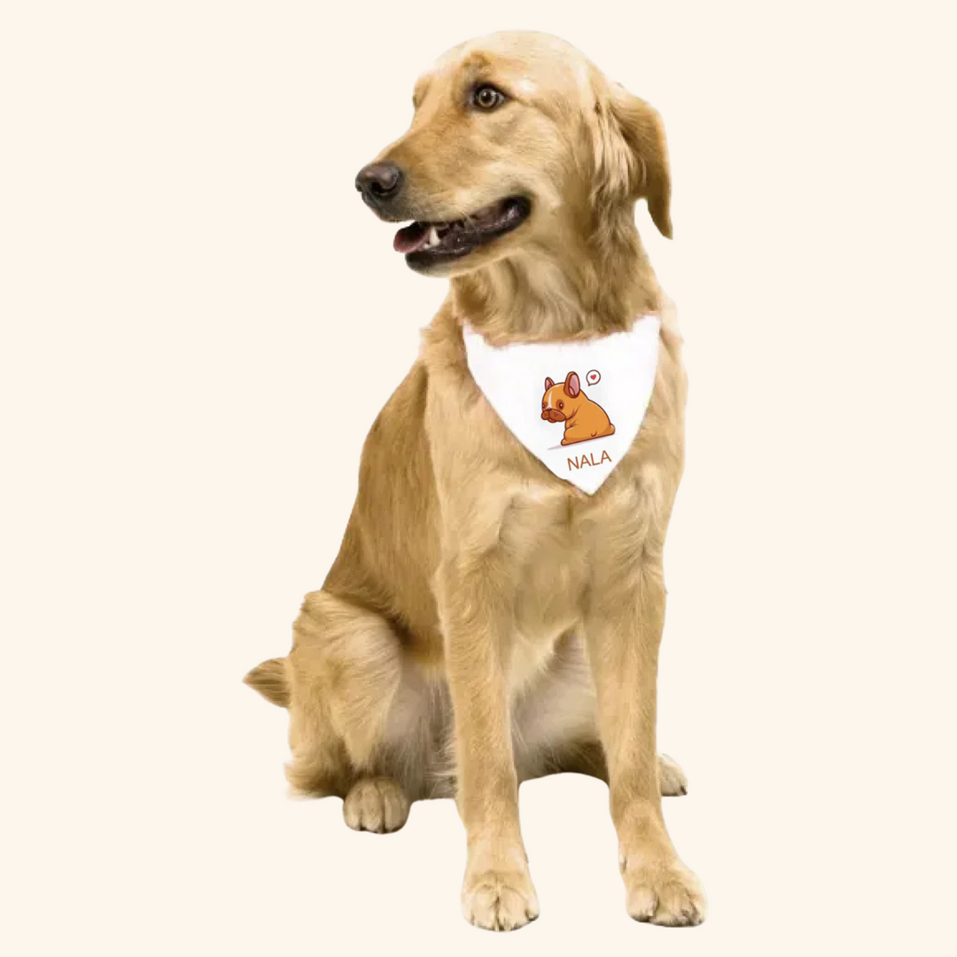 Collar Bandana Personalizable para Mascotas con Pañuelo