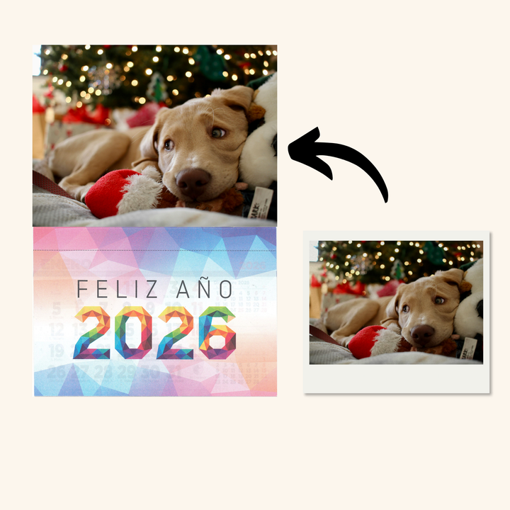Calendario de Nevera Magnético 2026 15x20 cm Personalizado con Tu Foto en Papel Fotografico