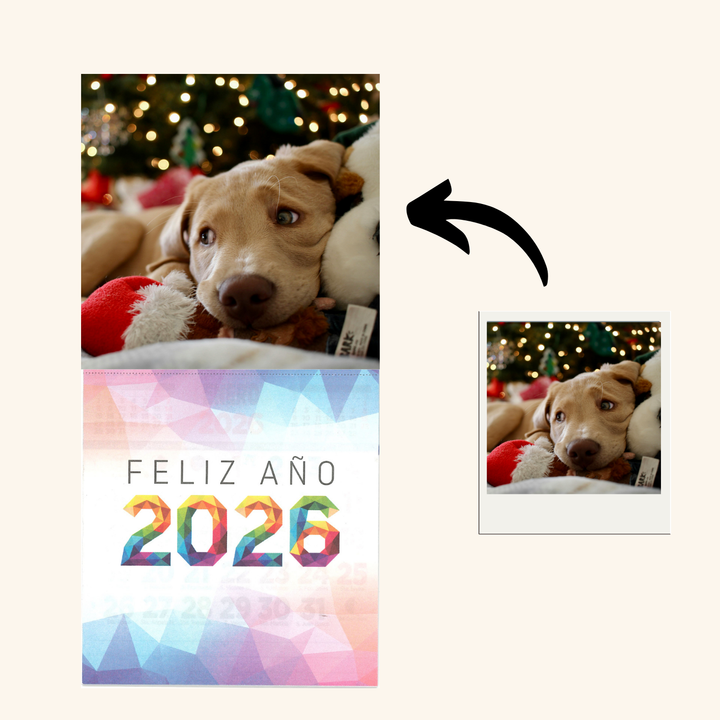 Calendario de Nevera Magnético 2026 10x20cm Personalizado con Tu Foto en Papel Fotografico