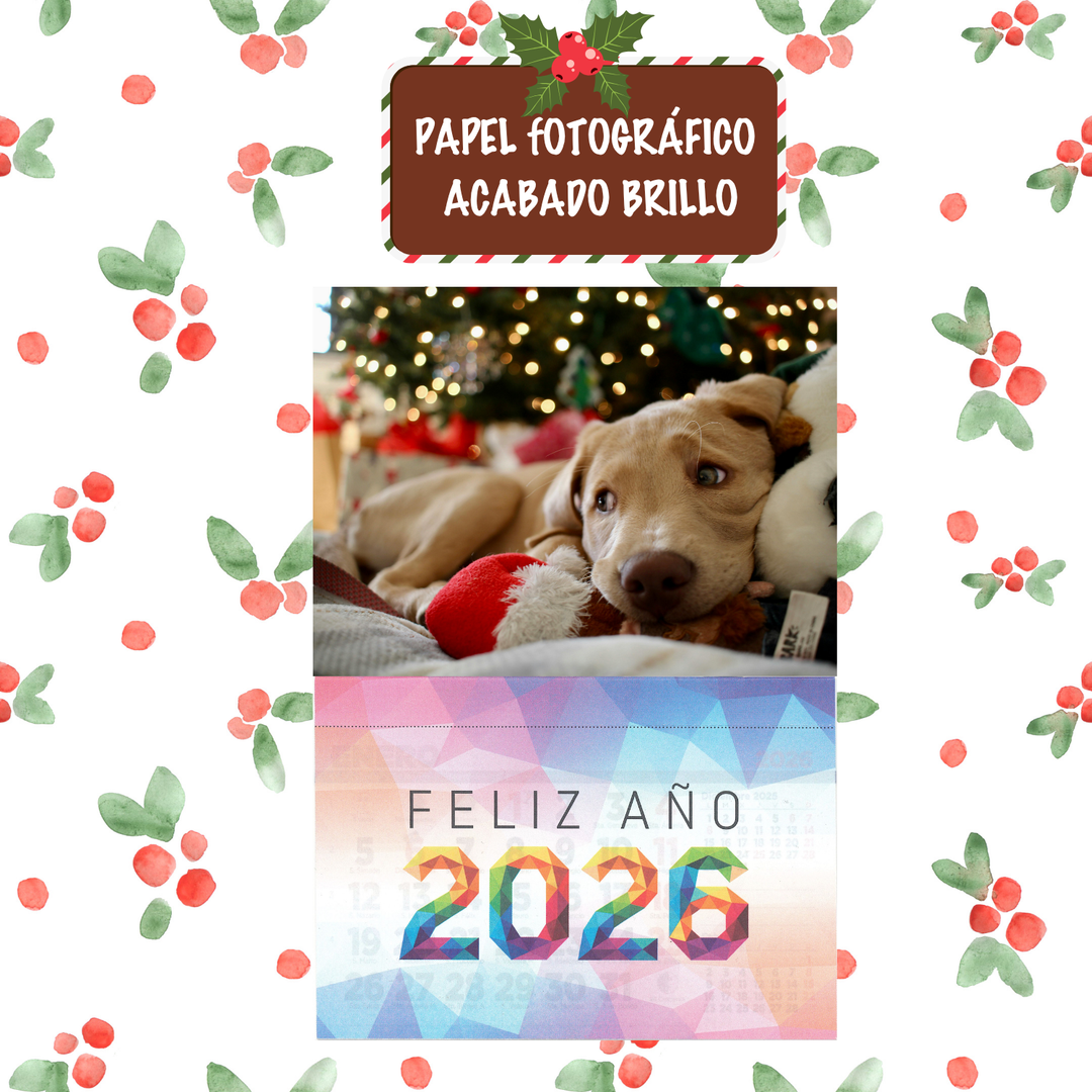 Calendario de Nevera Magnético 2026 15x20 cm Personalizado con Tu Foto en Papel Fotografico