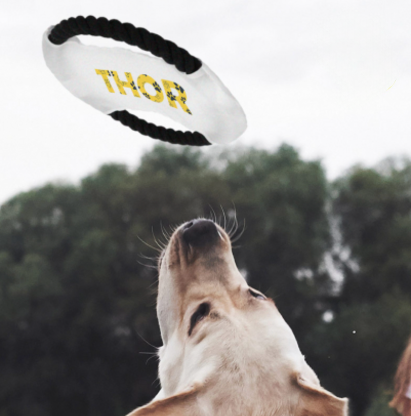 Frisbee de Cuerda Personalizable para Mascotas