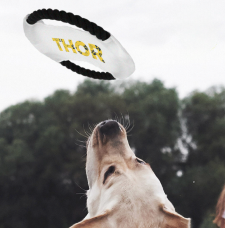 Frisbee de Cuerda Personalizable para Mascotas